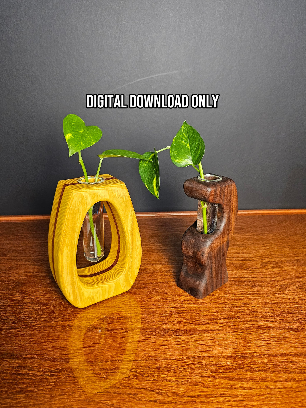 2 Propagation Vases Woodworking Plans Bundle (PDF Only)