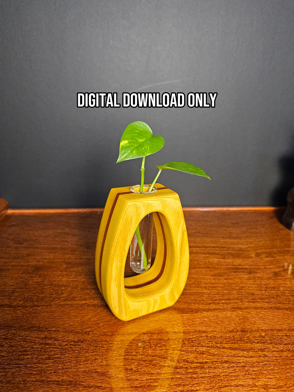 Seed Pod Propagation Vase Woodworking Plan PDF