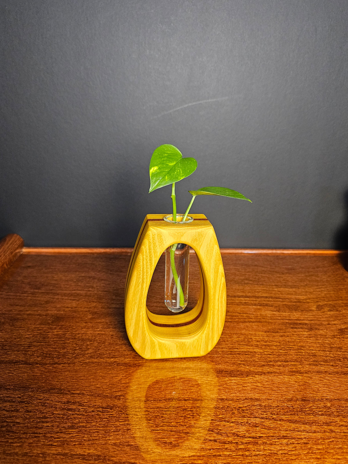 Seed Pod Propagation Vase Woodworking Plan PDF
