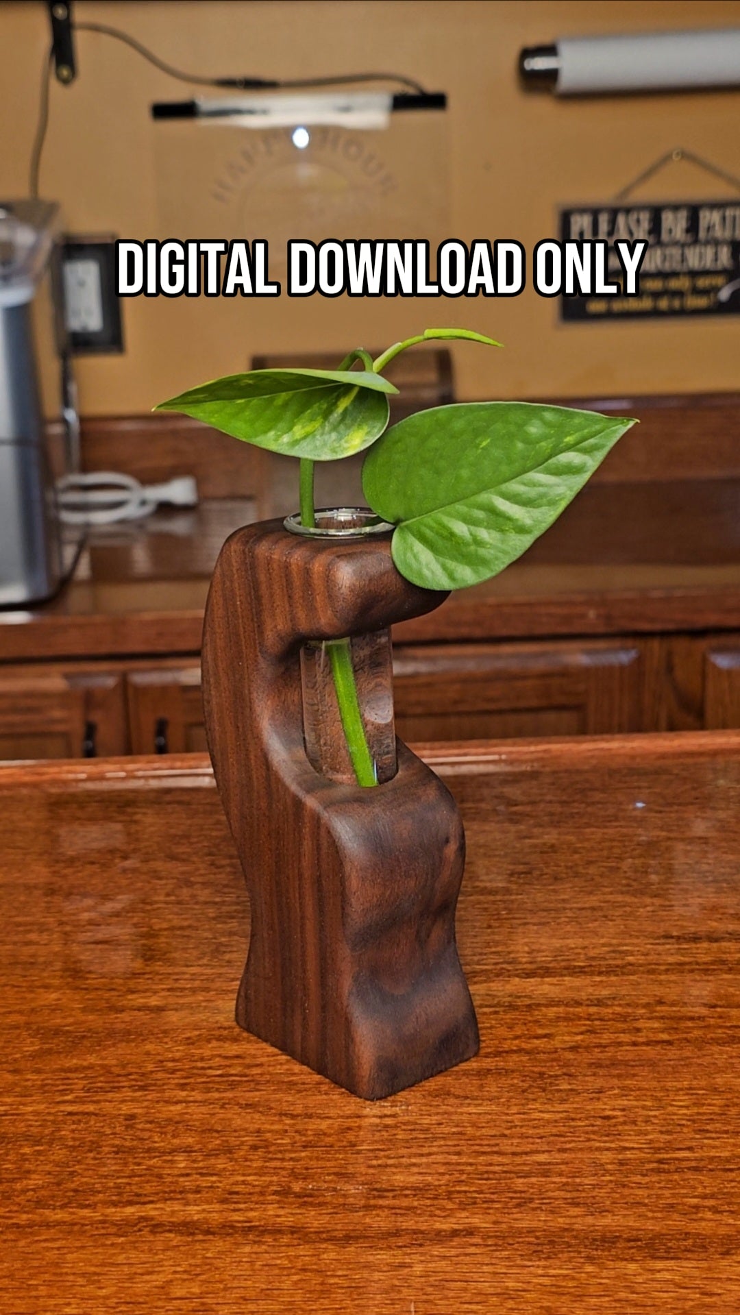 Wooden Propagation Vase Woodworking Plan – Printable PDF Template – finished wood project photo