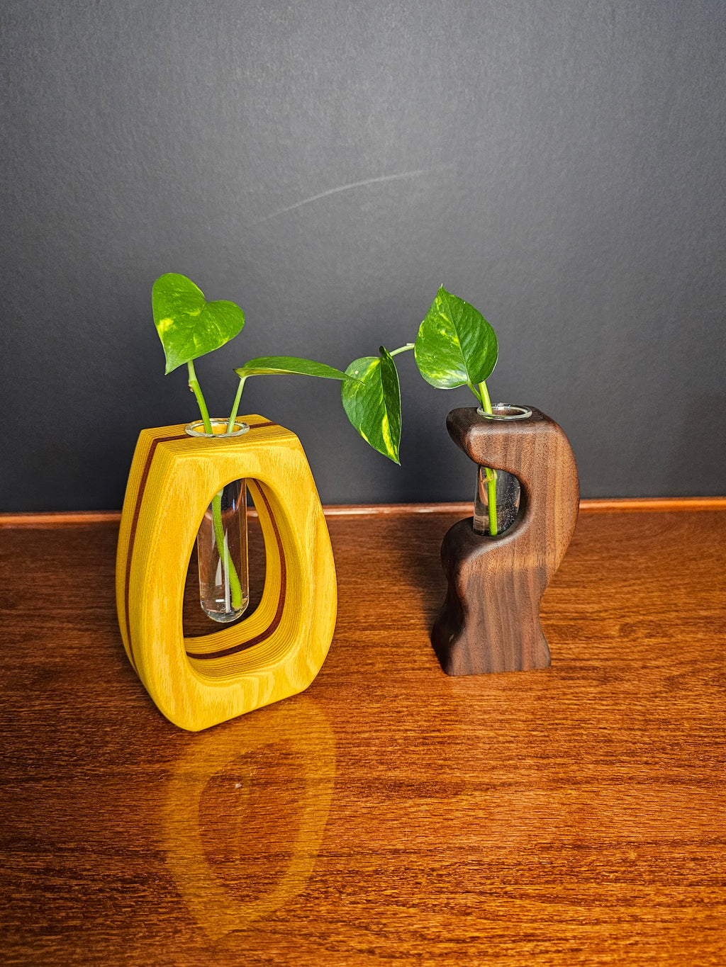 2 Propagation Vases Woodworking Plans Bundle (PDF Only)